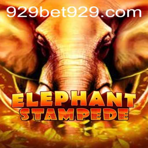 Elephant Stampede - A Thrilling Adventure with 929bet